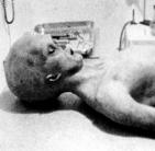 1947-ben egy ufó zuhant le Új-Mexikóban, a benne talált lényeket felboncolták