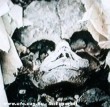 Egy ufonauta koponyája