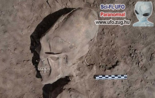 Egy 1000 éves Alien koponyát találtak
